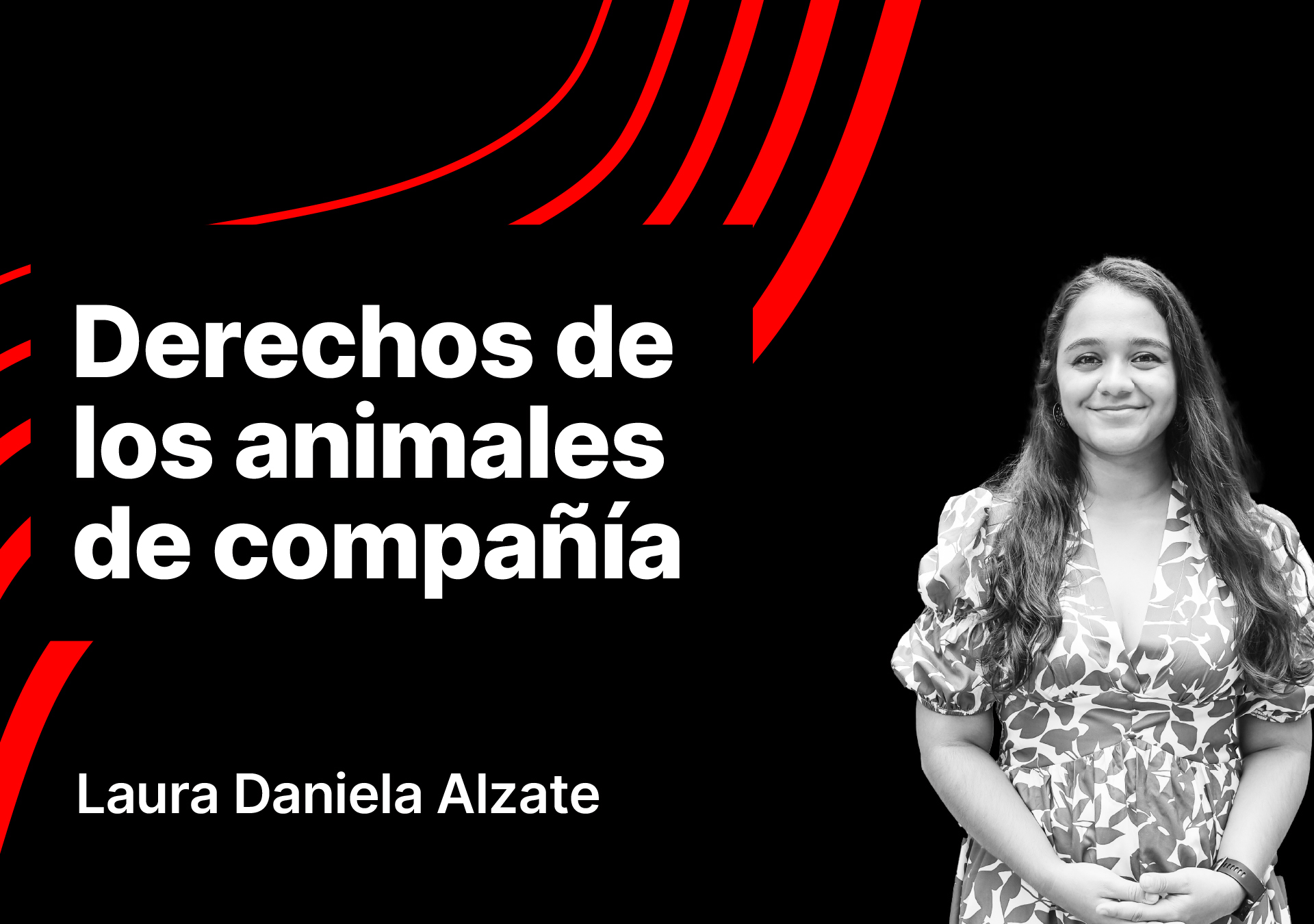 Derechos de los animales de compañía