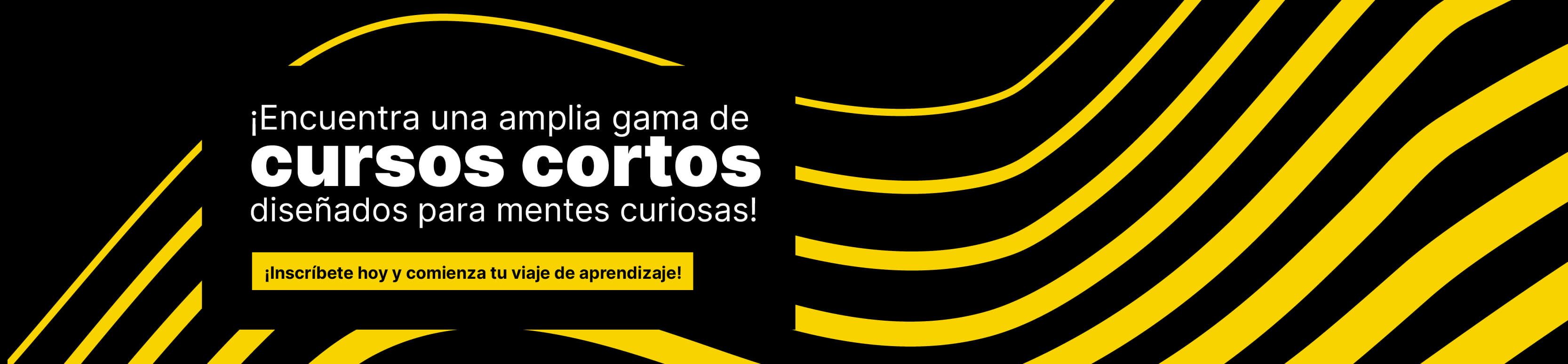 banner-curso